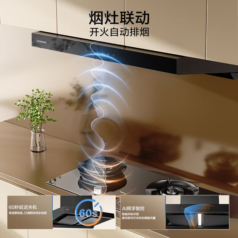 老板E1L+E2P油烟机图片