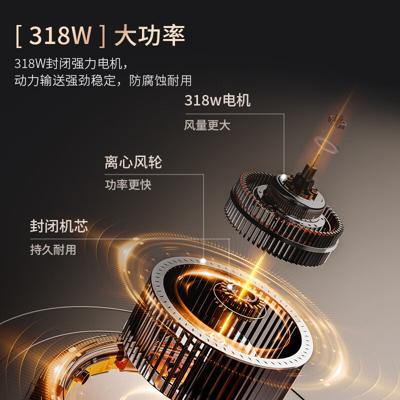 志高D08油烟机图片