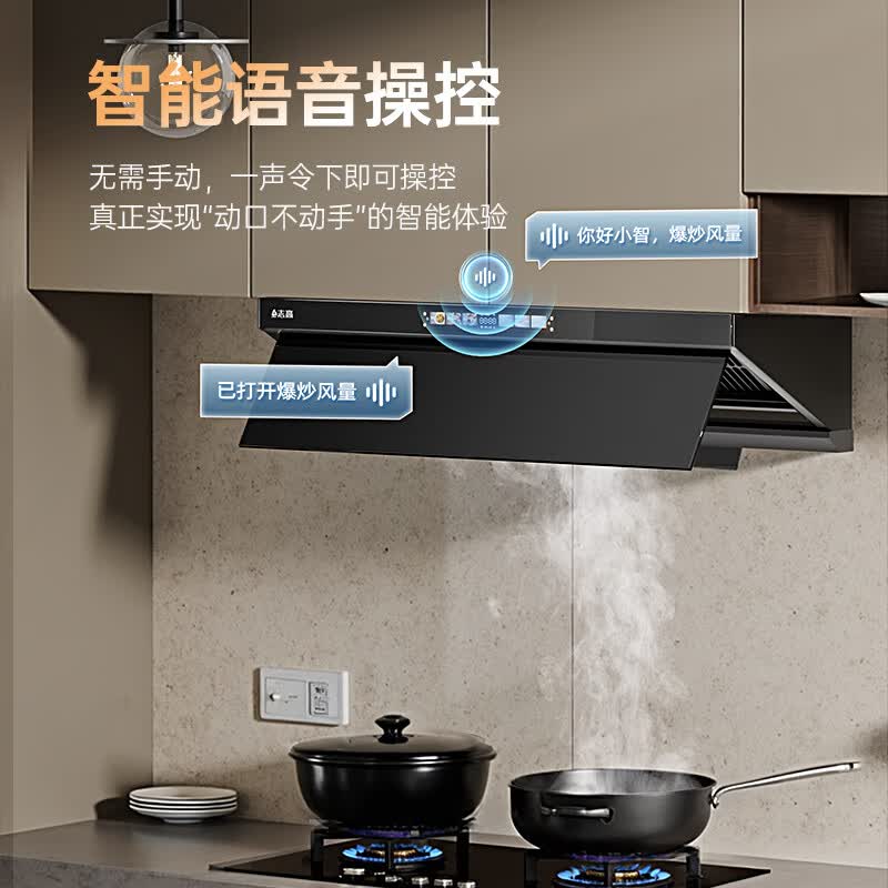 志高Q132A油烟机图片