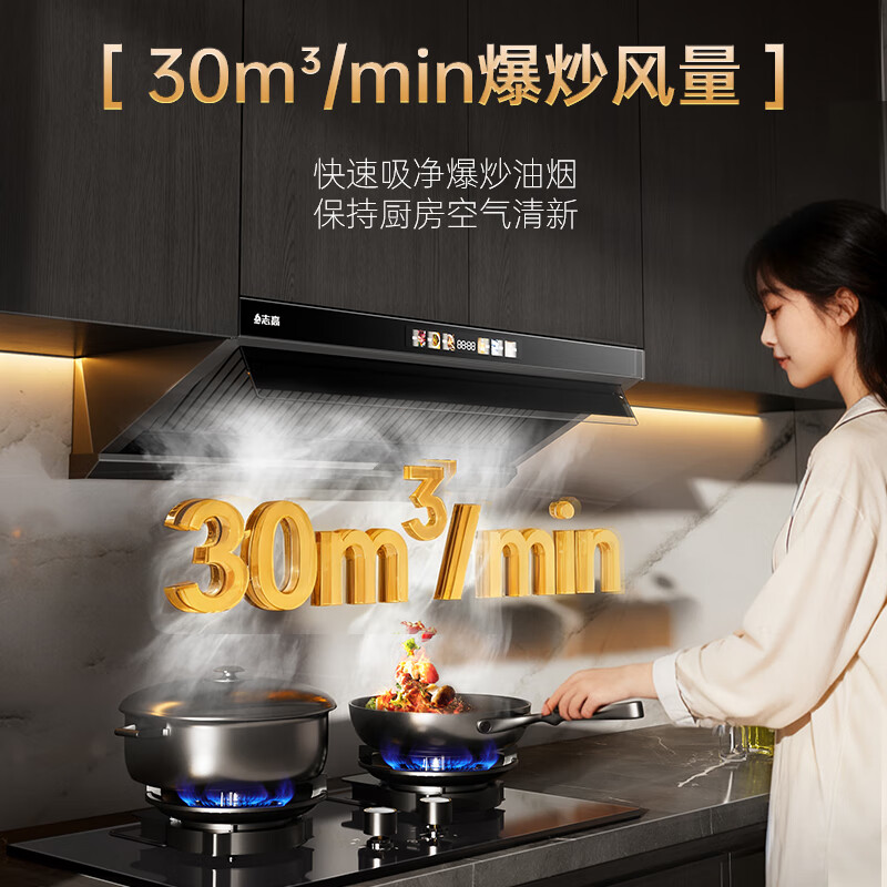 志高Q132B油烟机图片
