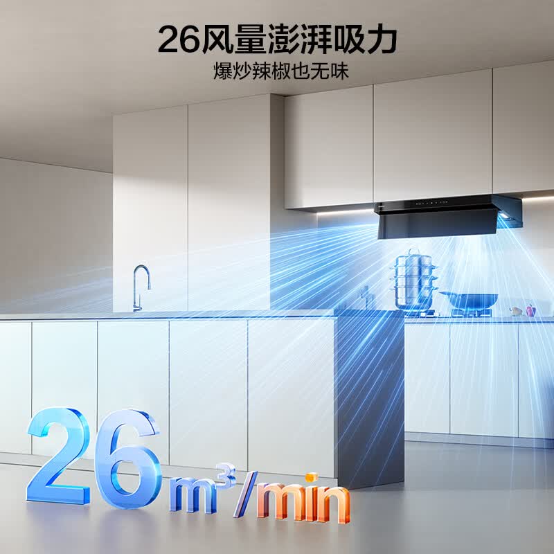 老板61A9S油烟机图片