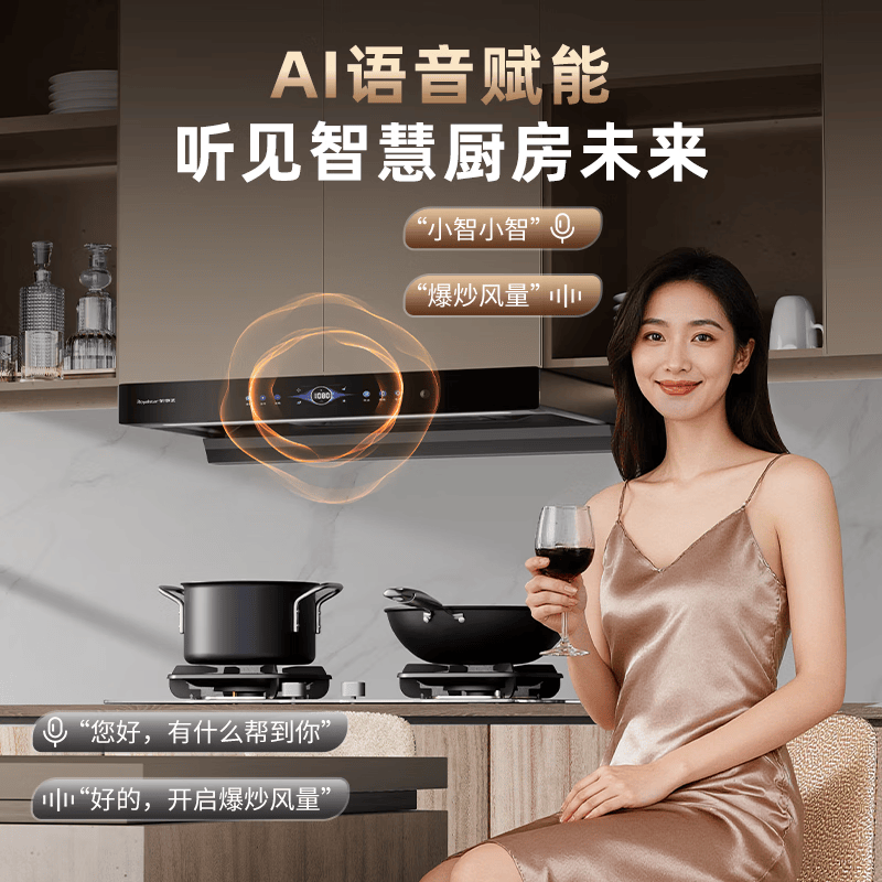 荣事达T612油烟机图片