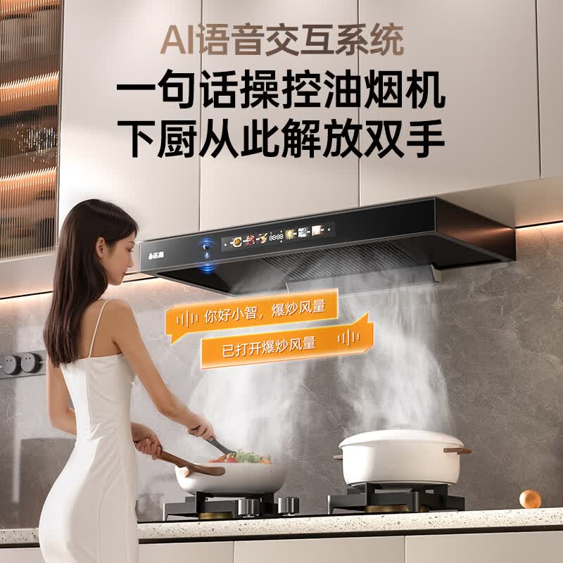 志高T26油烟机图片