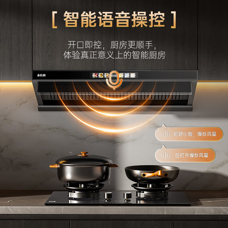 志高Q132B油烟机图片