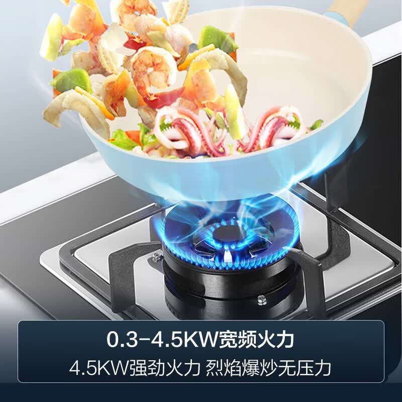 统帅9762+L2D油烟机图片