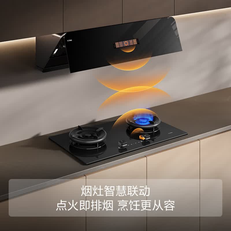 方太F5+TE21油烟机图片