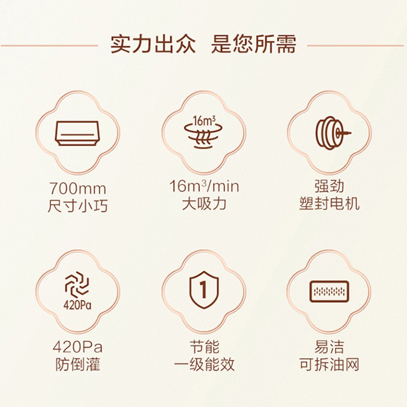 万家乐AZ1油烟机图片