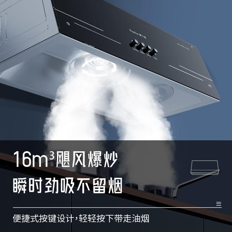 荣事达RSD-X01C油烟机图片