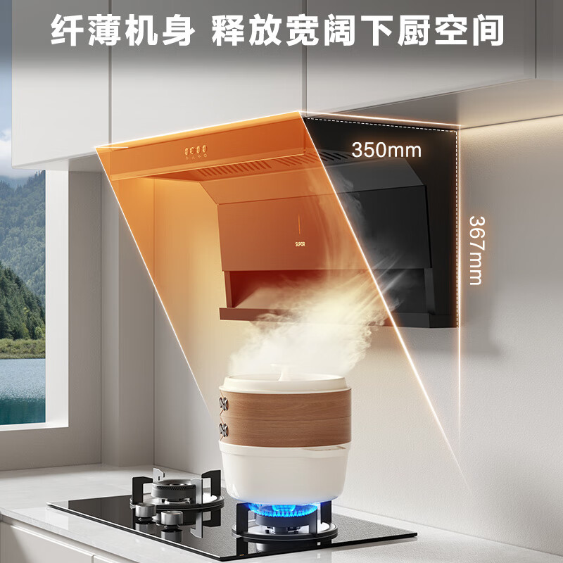 苏泊尔DL08油烟机图片