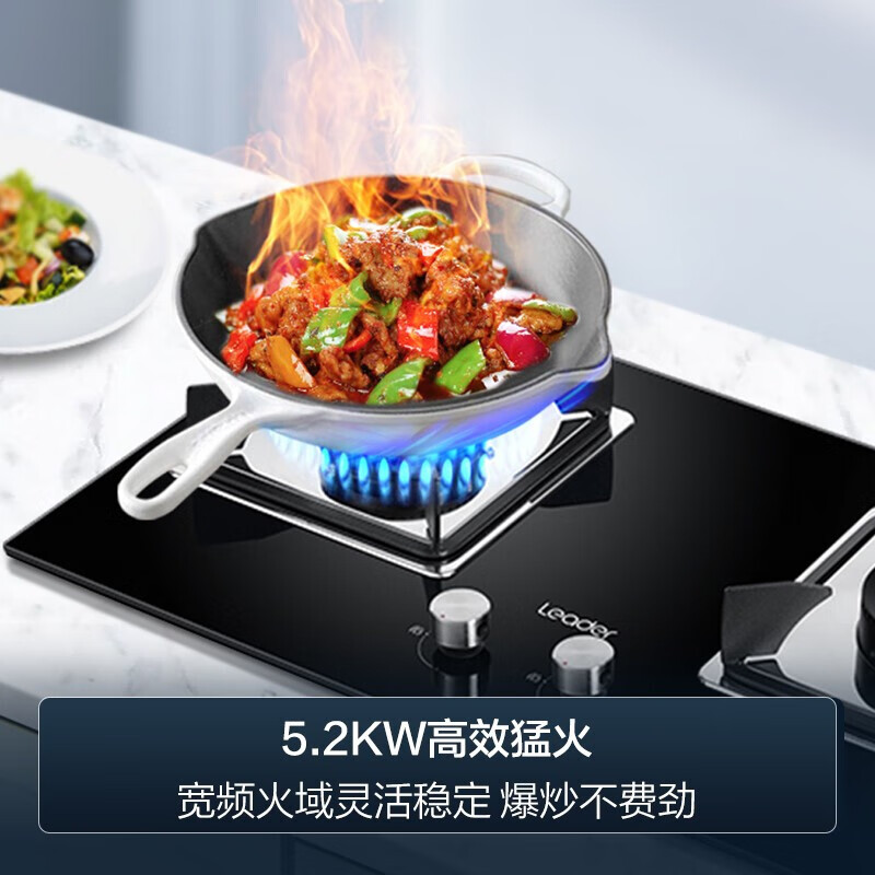 统帅9762+L2C油烟机图片