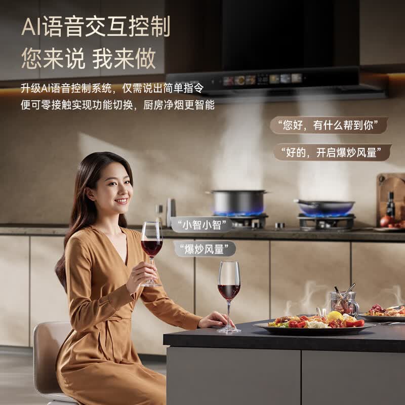 荣事达T811+A535BFS油烟机图片