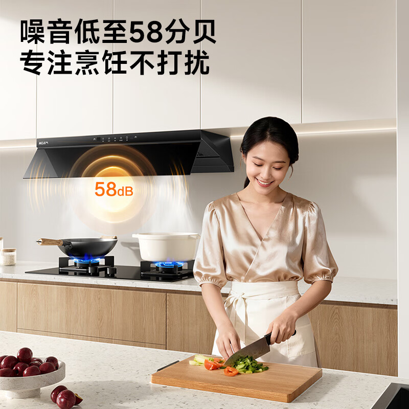 名气F10Pro+6063油烟机图片