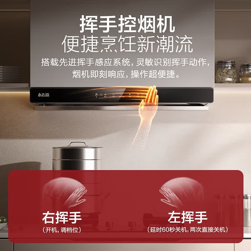 志高T01H油烟机图片