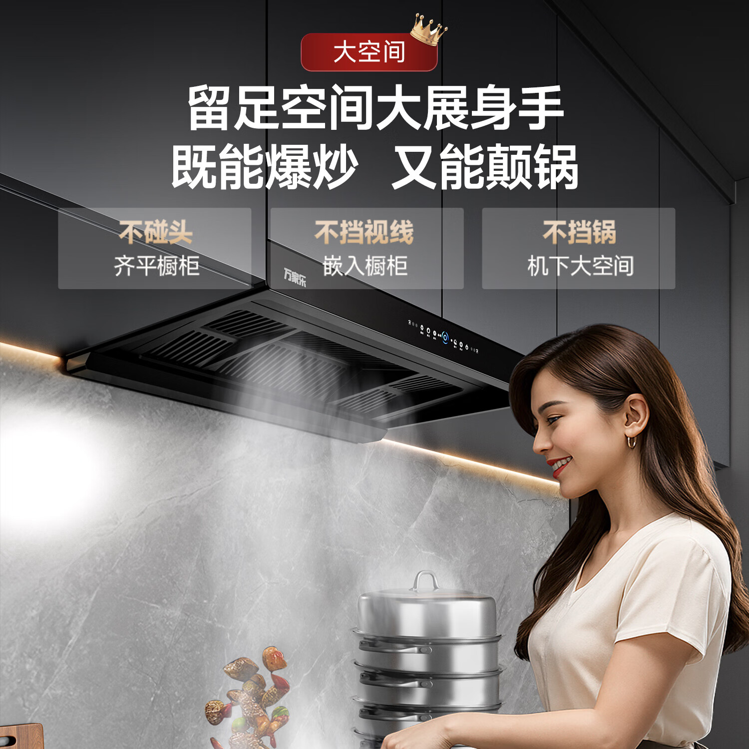 万家乐T5+C8R1油烟机图片
