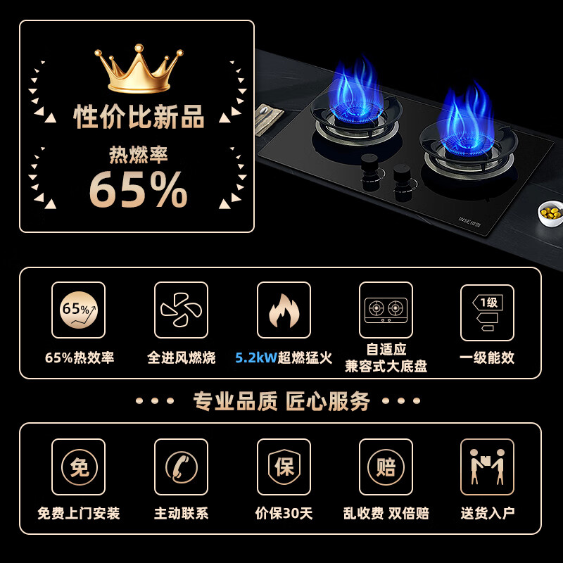 樱雪C2325+2520T油烟机图片