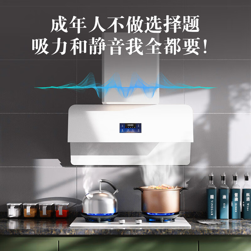 京东京造JZW01油烟机图片
