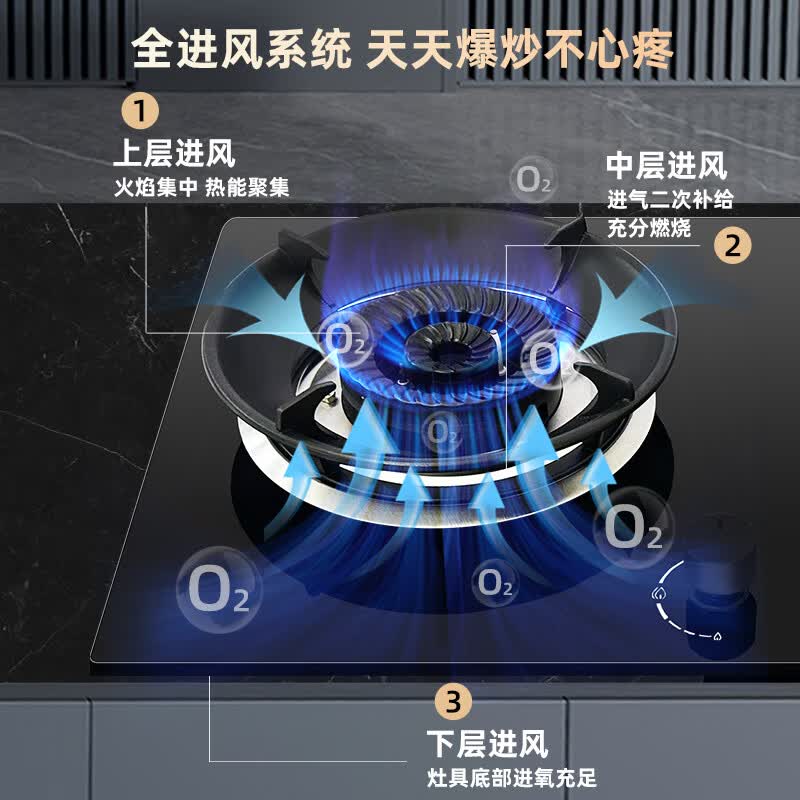 樱雪C2325+2520T油烟机图片