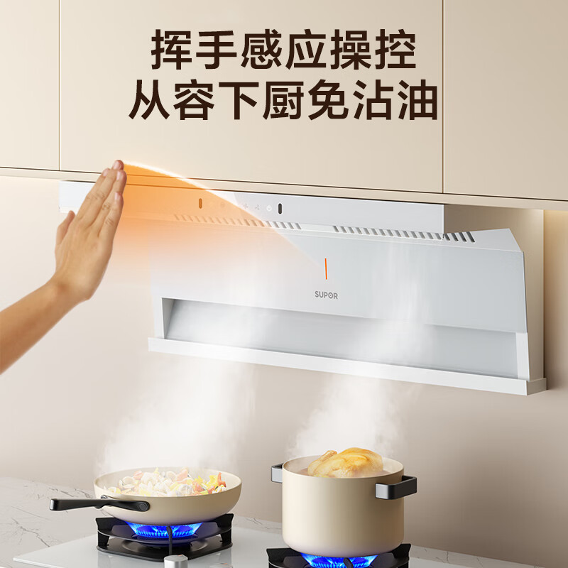 苏泊尔DL20油烟机图片