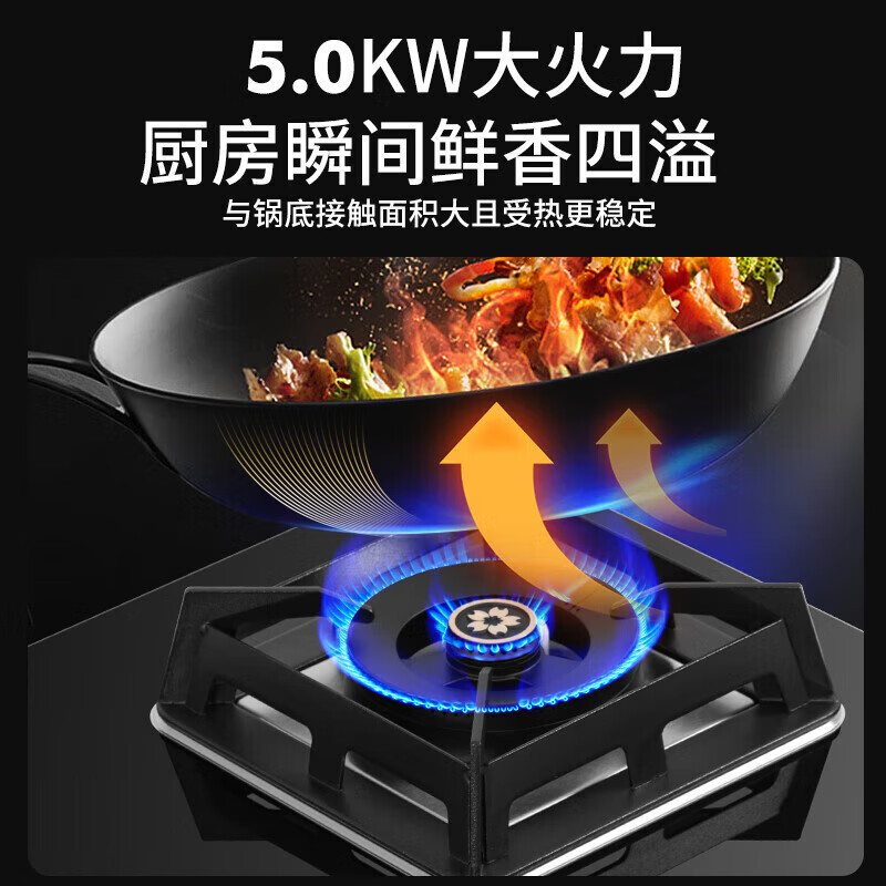 樱花B9209液化气灶然气灶图片