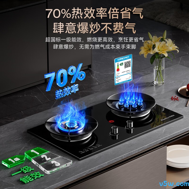 荣事达JZY-R55-2液化气灶然气灶图片