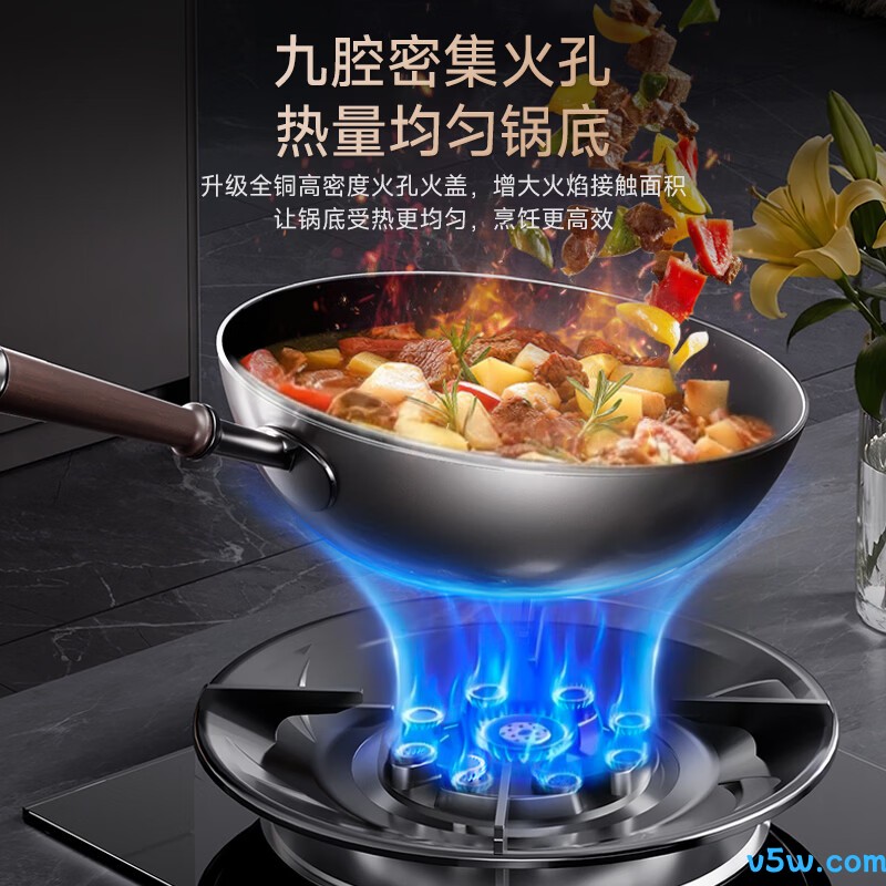 荣事达JZT-D52G天然气灶然气灶图片