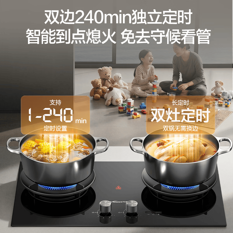 万和B9DS天然气灶然气灶图片