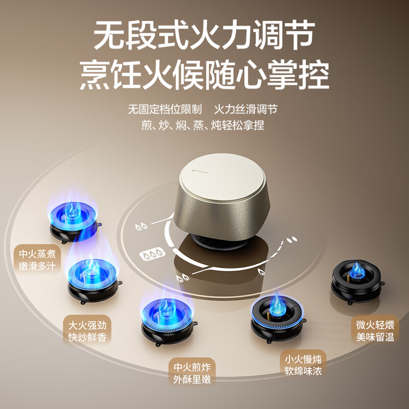 樱花TGA11天然气灶然气灶图片