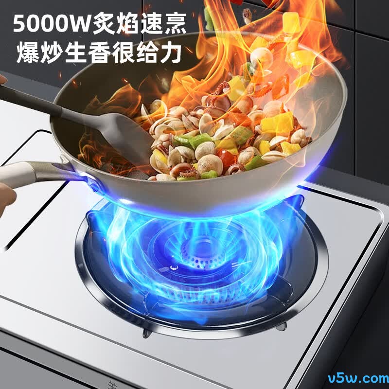 樱雪T2332液化气灶然气灶图片