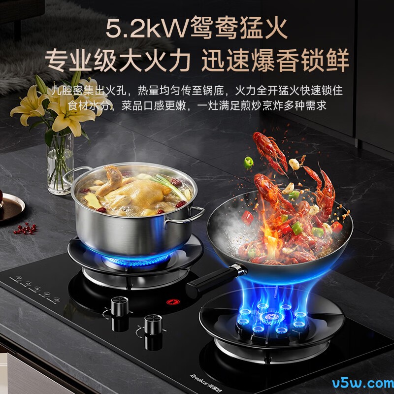荣事达JZT-R55-2天然气灶然气灶图片