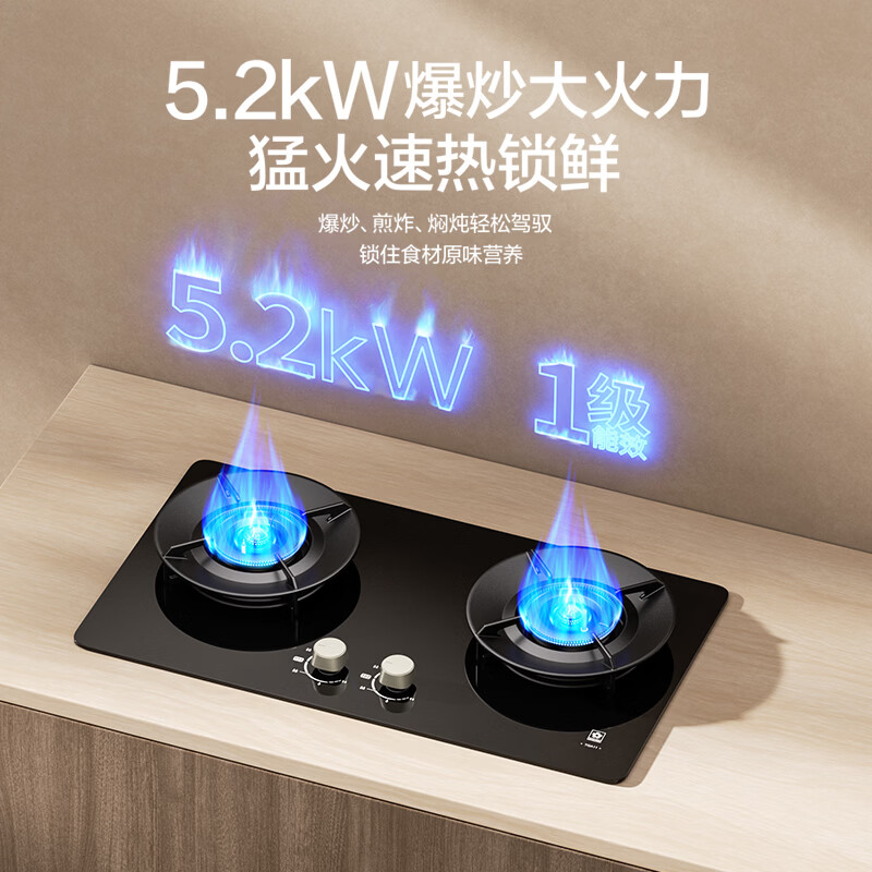 樱花TGA11天然气灶然气灶图片