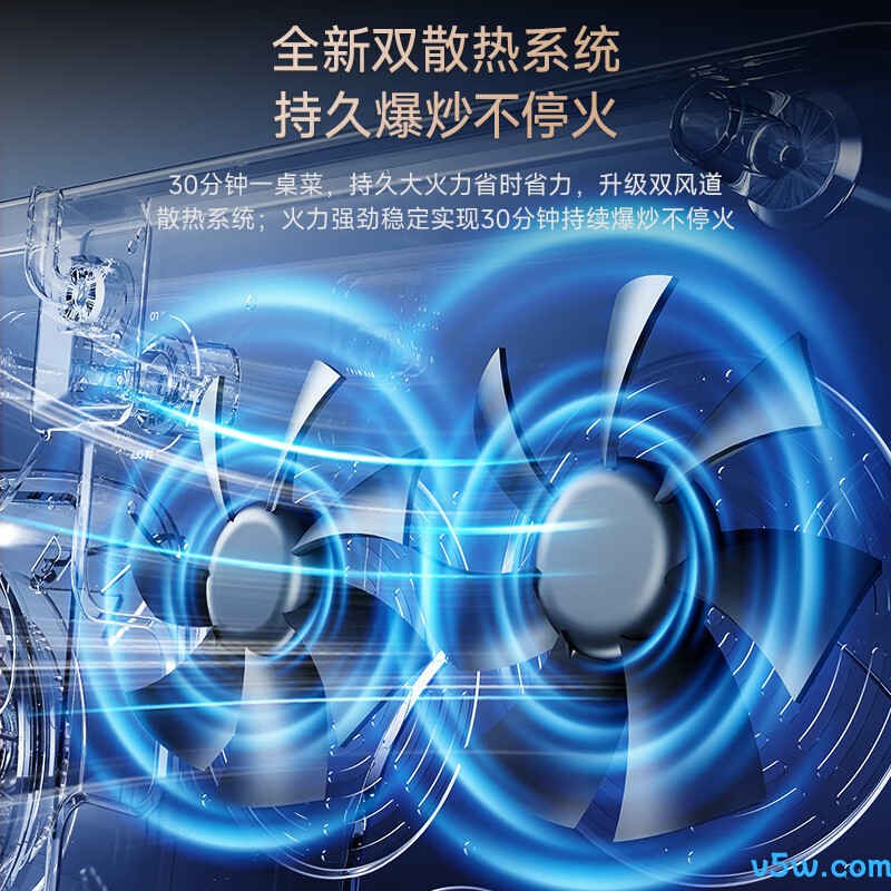 荣事达JZDT-25B1天然气灶然气灶图片