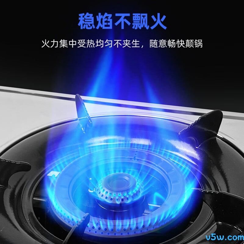 樱雪T2332液化气灶然气灶图片