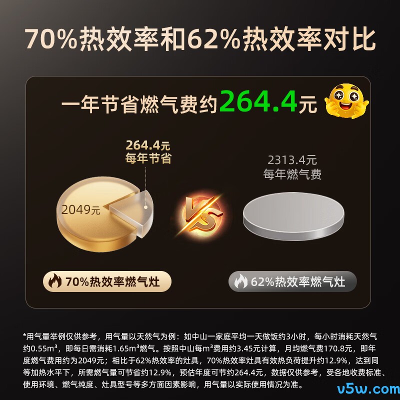 樱雪JZY-261T1P液化气灶然气灶图片