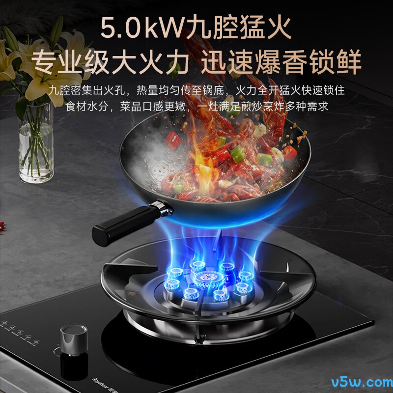 荣事达JZY-D52G液化气灶然气灶图片