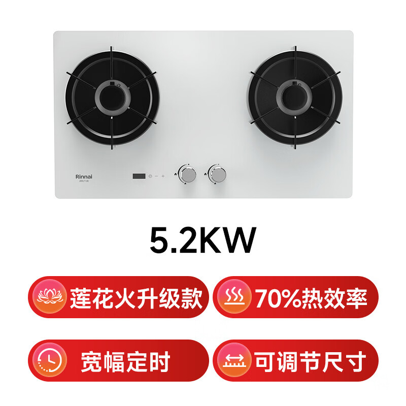 林内2ERLT1(B)天然气灶然气灶图片