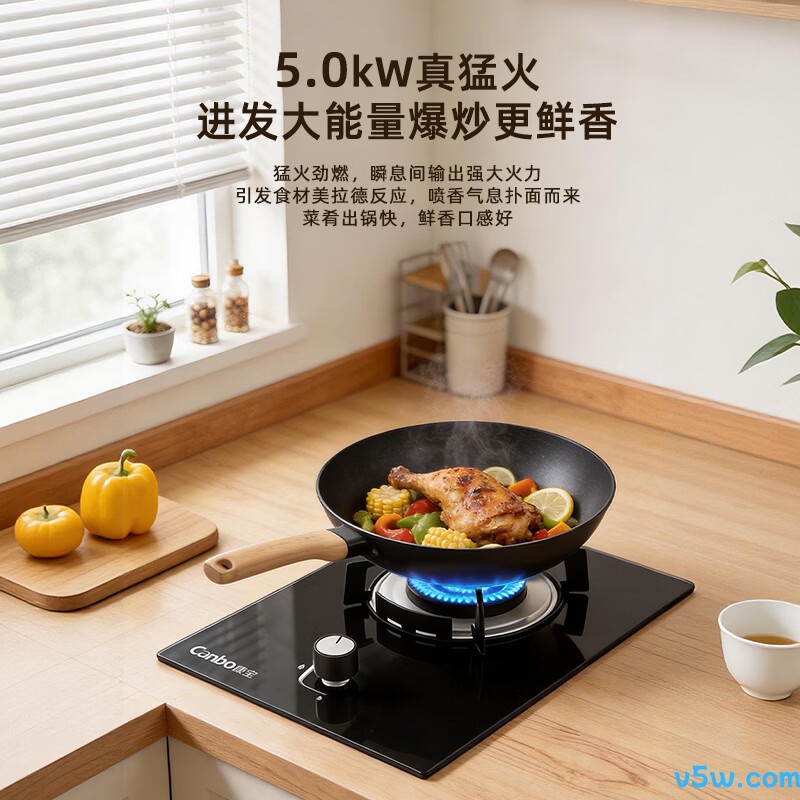 康宝QI30H液化气灶然气灶图片