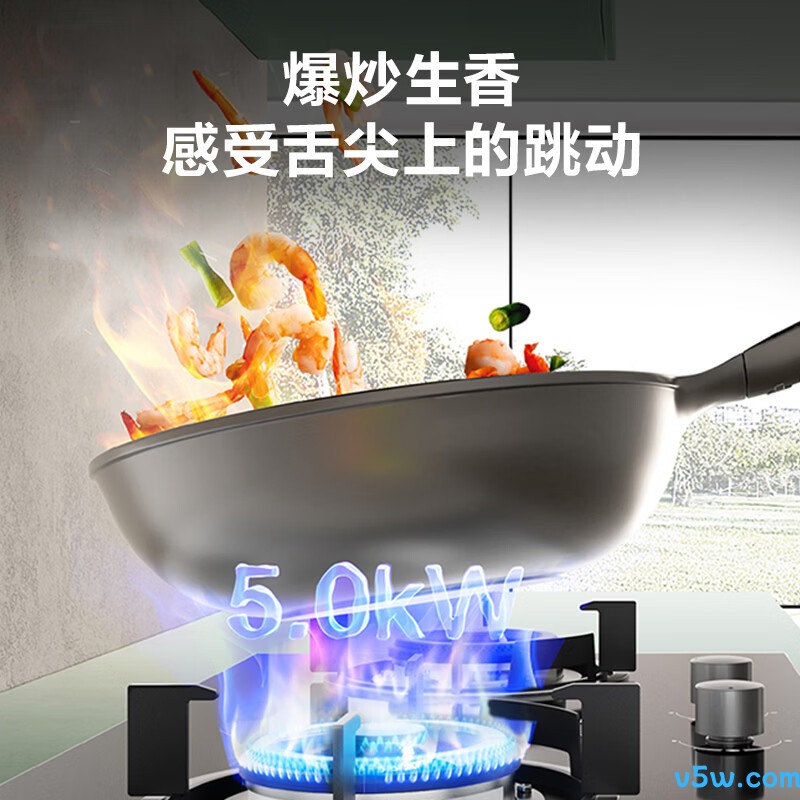 老板JZY-20B1A液化气灶然气灶图片