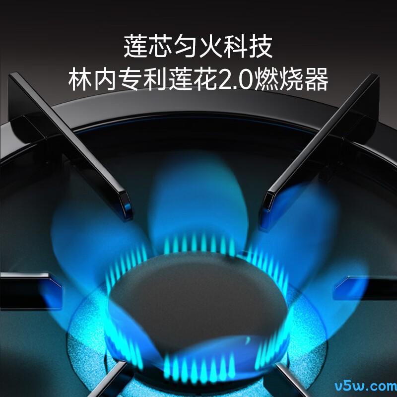 林内2ERLT1天然气灶然气灶图片