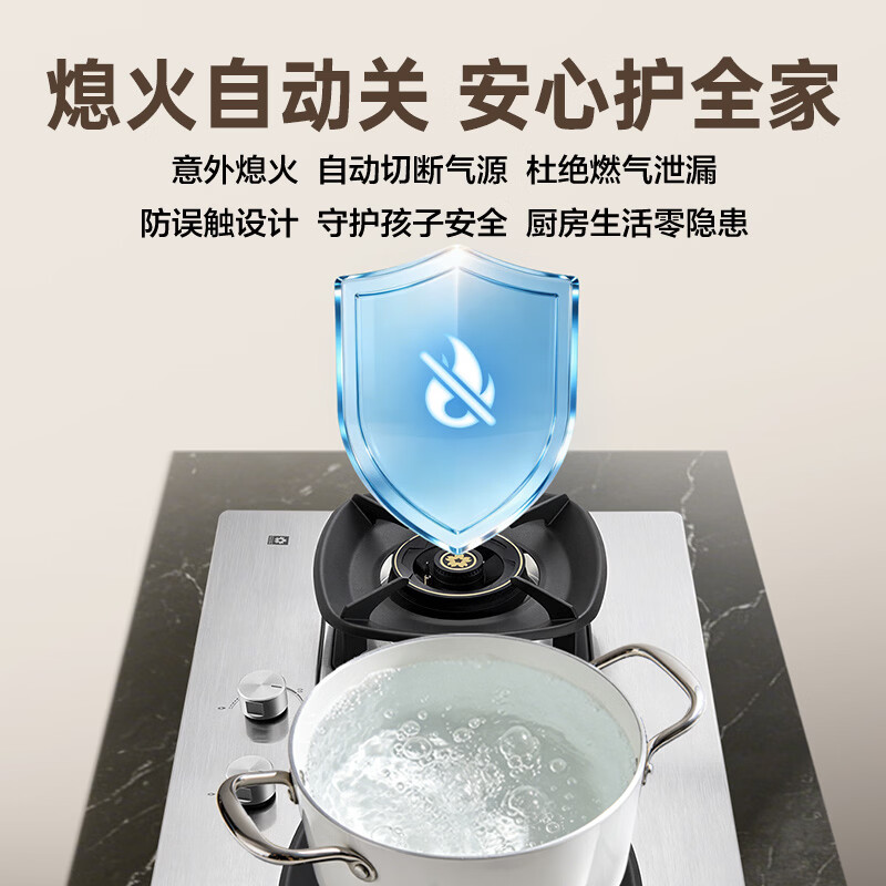 樱花JZT-JSC06天然气灶然气灶图片