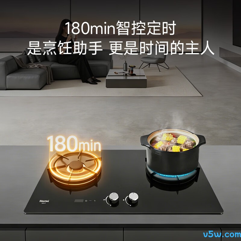 林内2ERLT1天然气灶然气灶图片