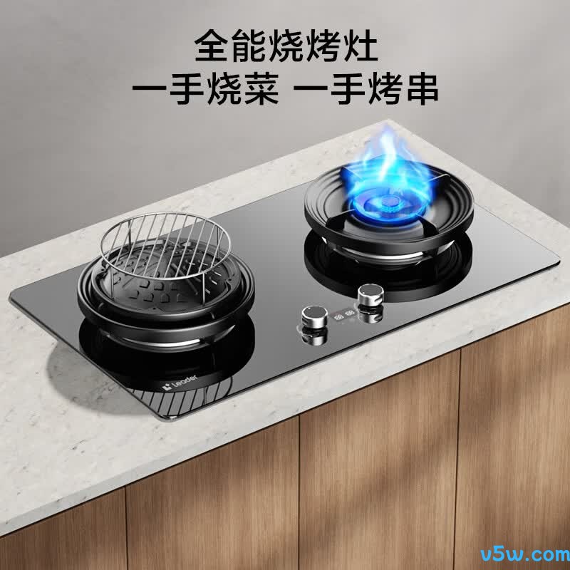 统帅V1D天然气灶然气灶图片