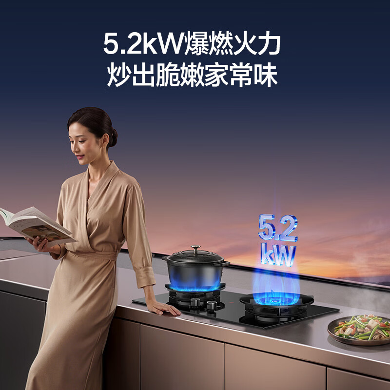 万和JZY-01-B9S液化气灶然气灶图片