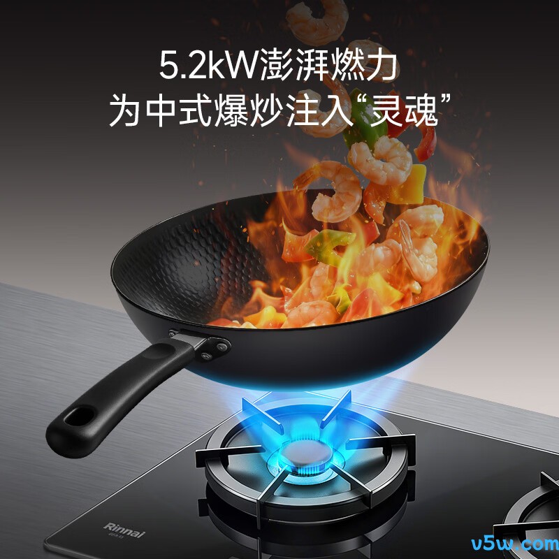 林内2ERLT1天然气灶然气灶图片
