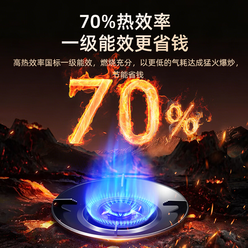 樱雪JZT-261T3P天然气灶然气灶图片