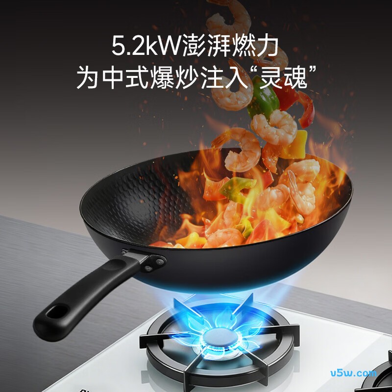 林内2ERLT1(B)天然气灶然气灶图片