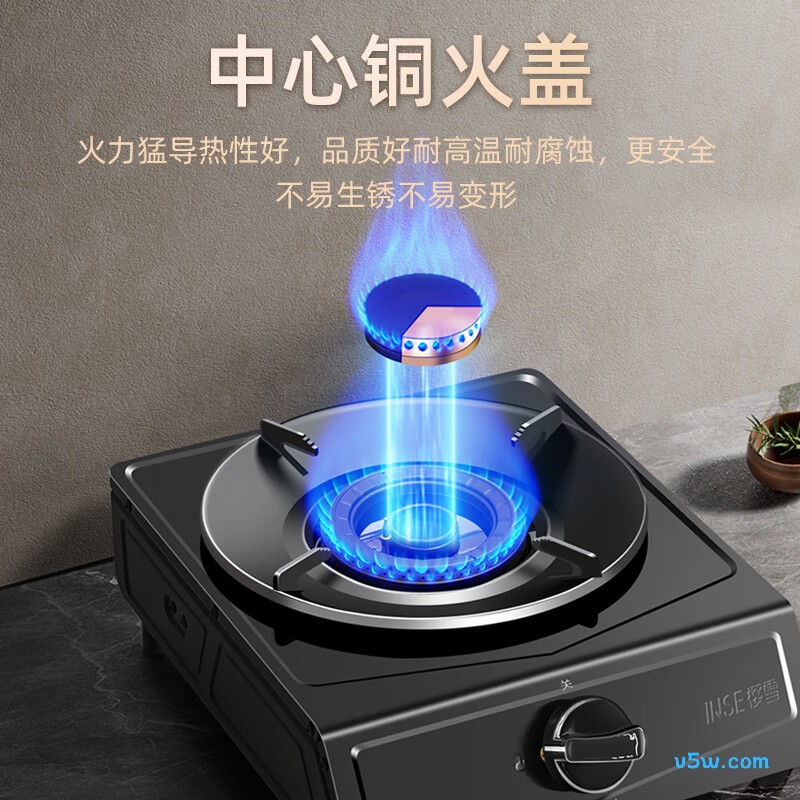 樱雪JZT-261T3P天然气灶然气灶图片