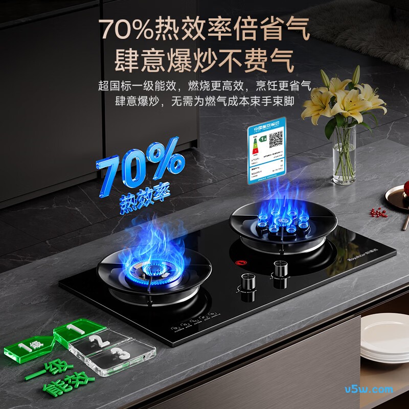 荣事达JZT-R55-2天然气灶然气灶图片