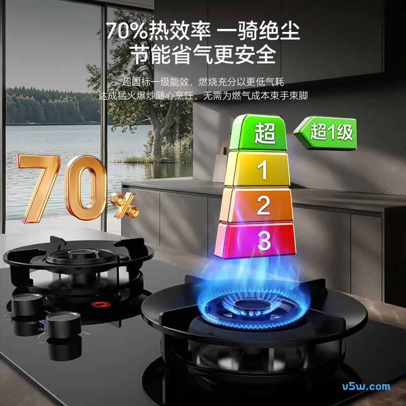 荣事达JZT-D51B液化气灶然气灶图片