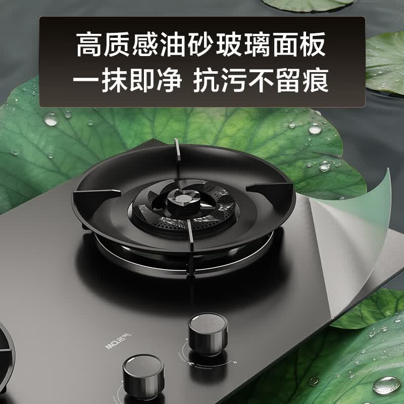 名气A667B-H1P液化气灶然气灶图片