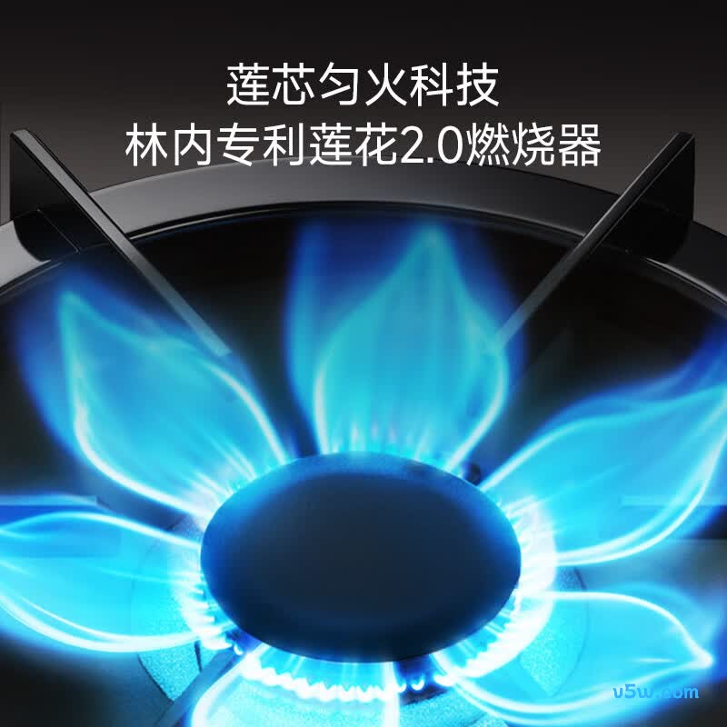 林内2ERLT1(B)天然气灶然气灶图片